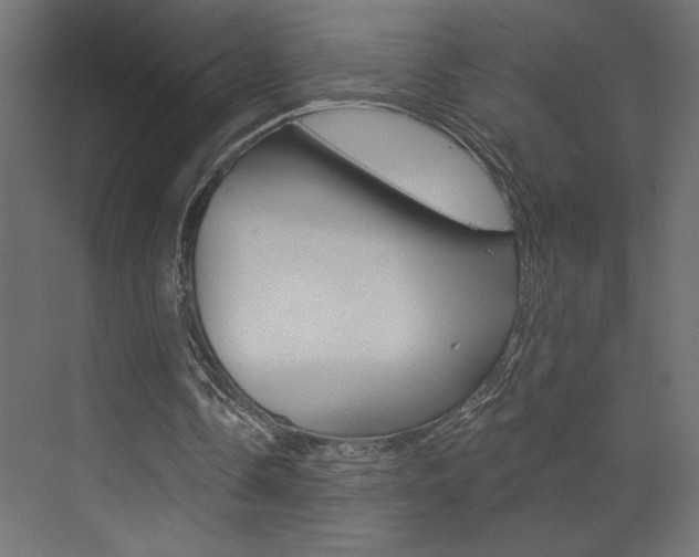 X0000073520338200607310955