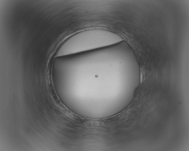 X0000073520339200607310955