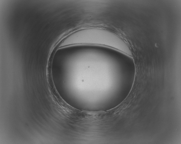 X0000073520340200607310955
