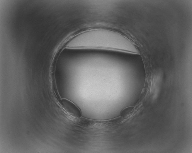 X0000073520341200607310955