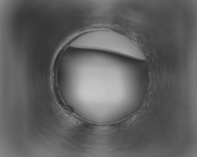 X0000073520342200607310955