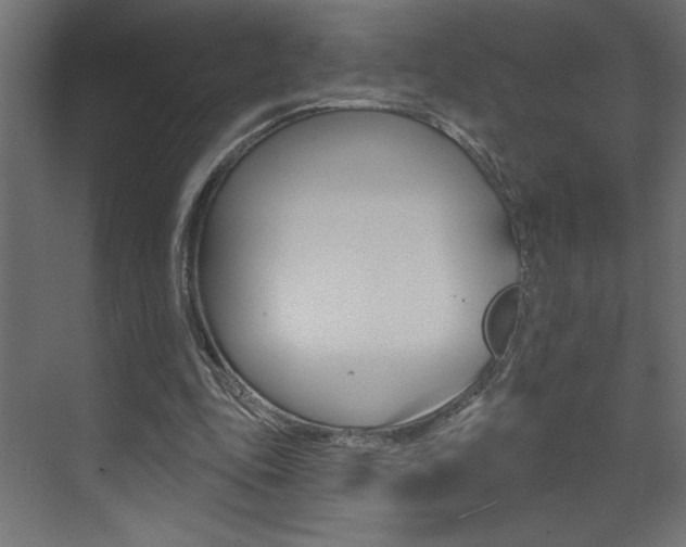X0000073520343200607310955