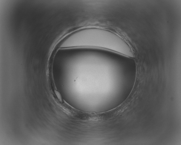 X0000073520344200607310955