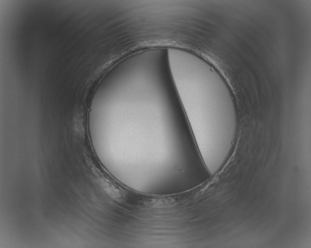X0000073520345200607310955