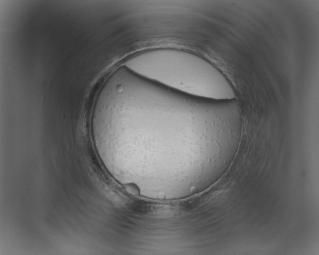 X0000073520347200607310955