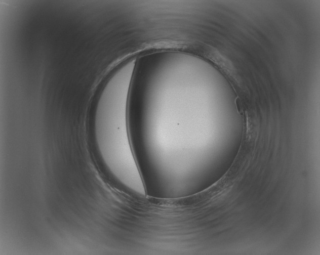 X0000073520348200607310955