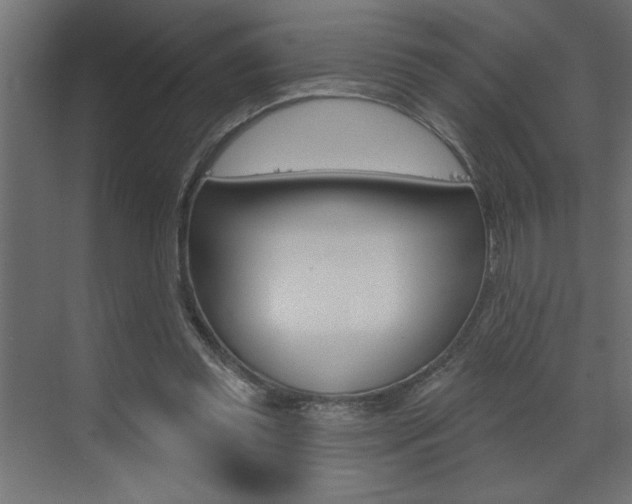 X0000073520349200607310955