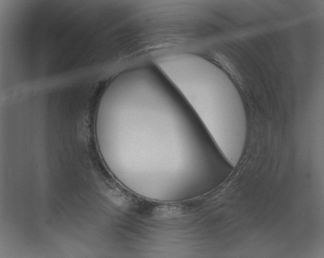 X0000073520354200607310955