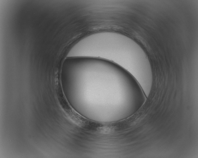 X0000073520356200607310955