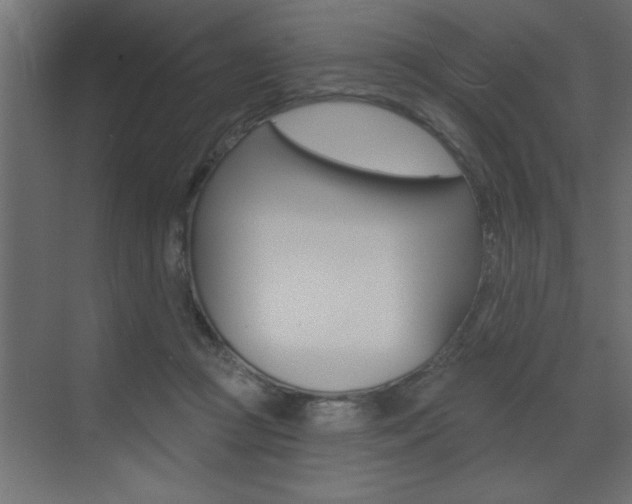 X0000073520361200607310956