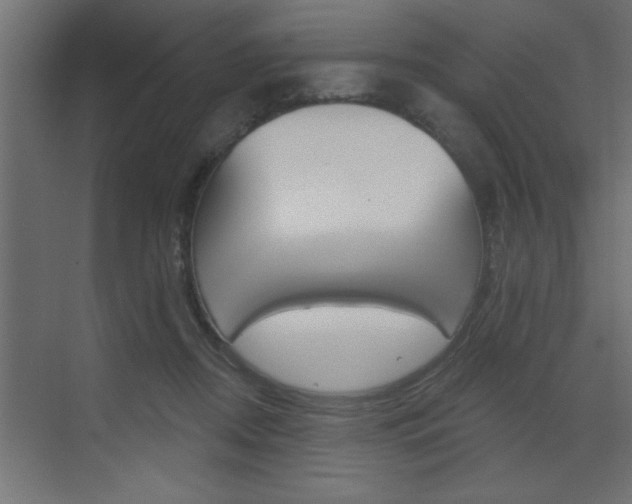 X0000073520362200607310956