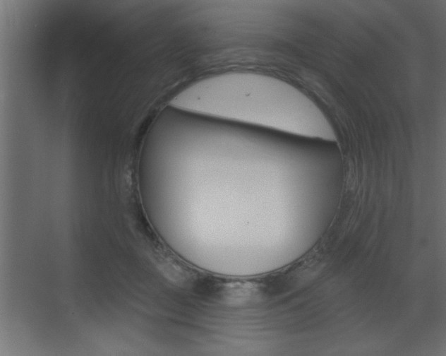 X0000073520363200607310956