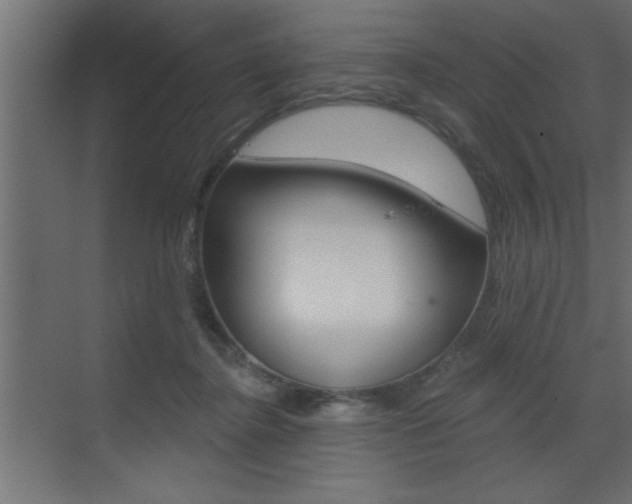 X0000073520364200607310956