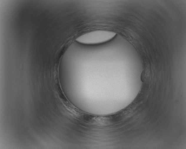 X0000073520367200607310956