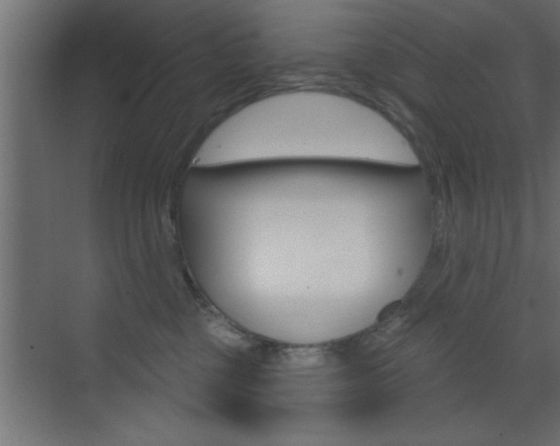 X0000073520377200607310956