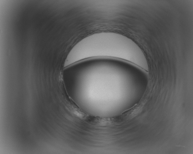 X0000073520384200607310956