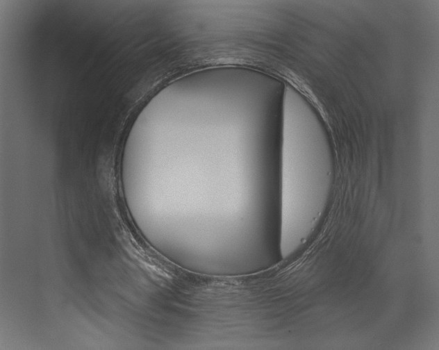 X0000073520386200607310955