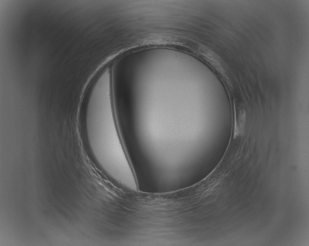X0000073520387200607310955