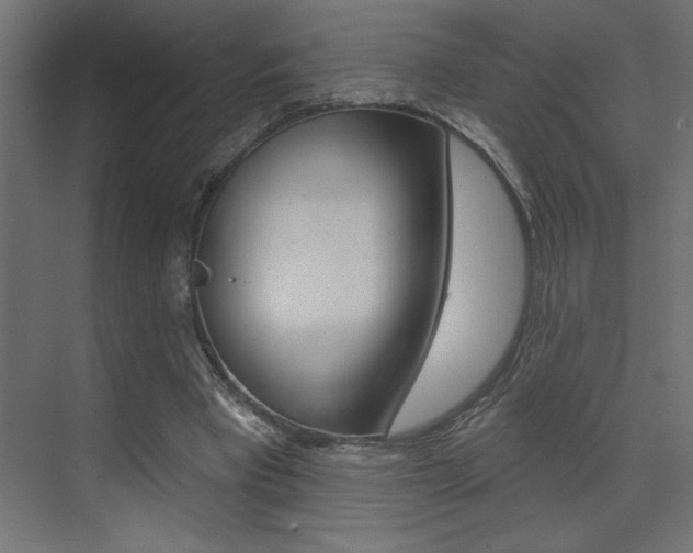X0000073520393200607310955