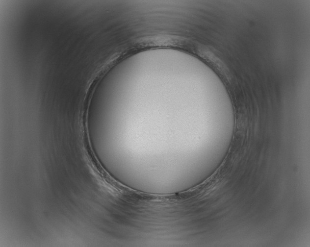 X0000073520394200607310955