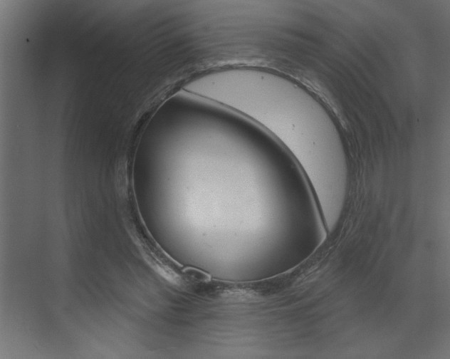X0000073520397200607310955