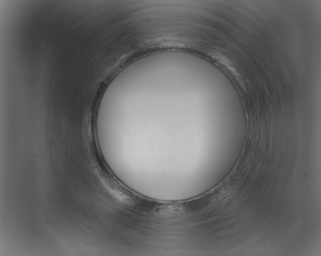 X0000073520398200607310955
