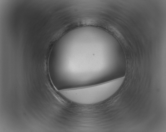 X0000073520401200607310955