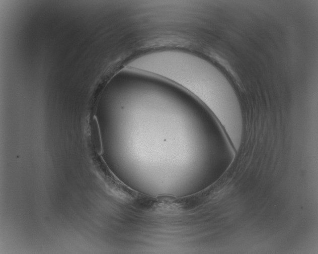 X0000073520403200607310955