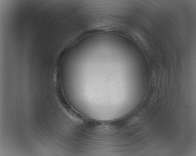 X0000073520404200607310955