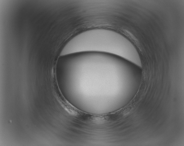 X0000073520405200607310955