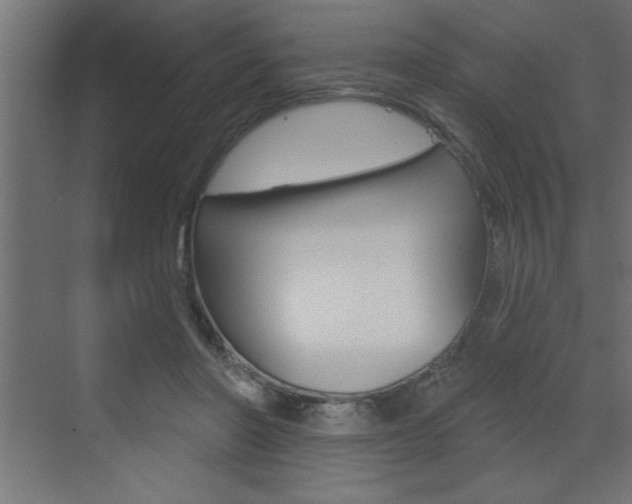 X0000073520406200607310955