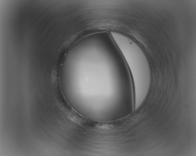 X0000073520407200607310955
