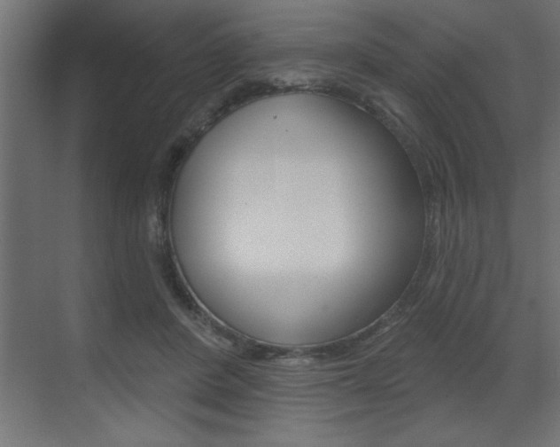 X0000073520408200607310955