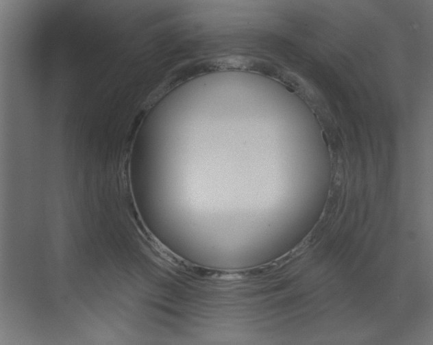 X0000073520409200607310955