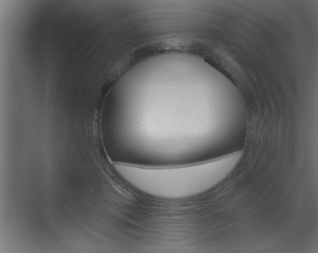X0000073520413200607310955