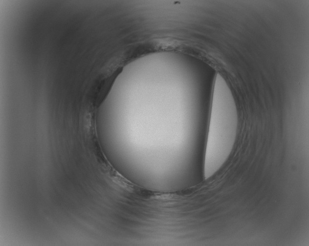 X0000073520417200607310955