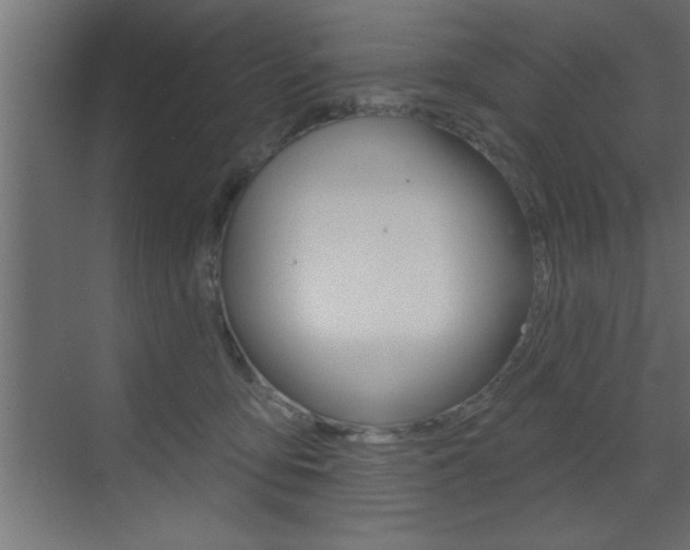 X0000073520419200607310955