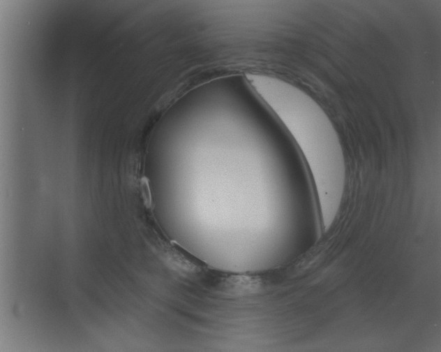 X0000073520421200607310954