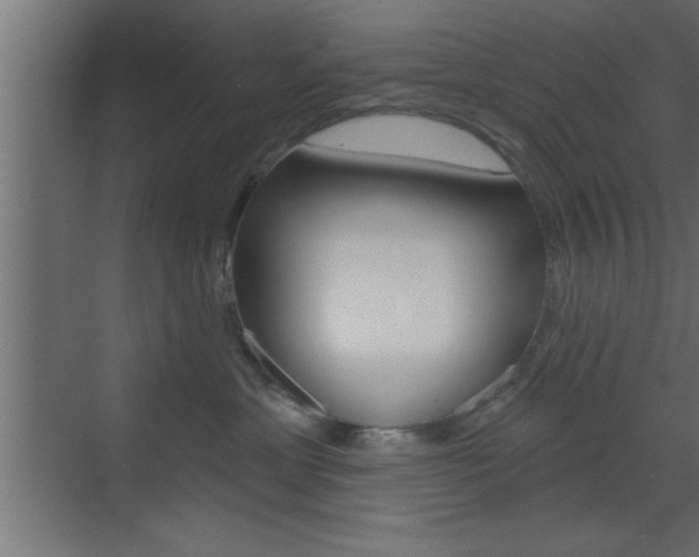X0000073520429200607310954