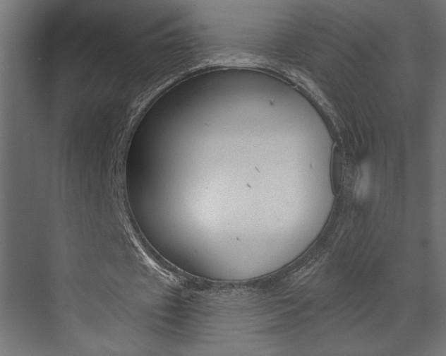 X0000073520433200607310953