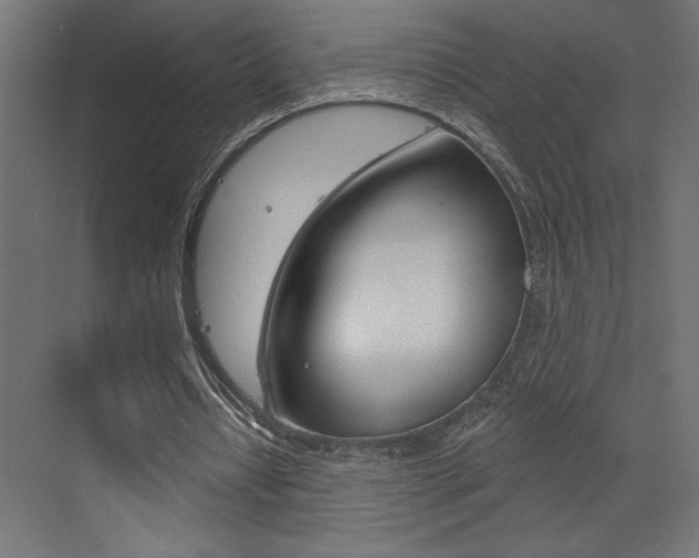 X0000073520434200607310954