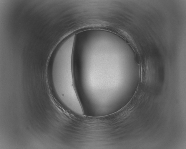 X0000073520435200607310954