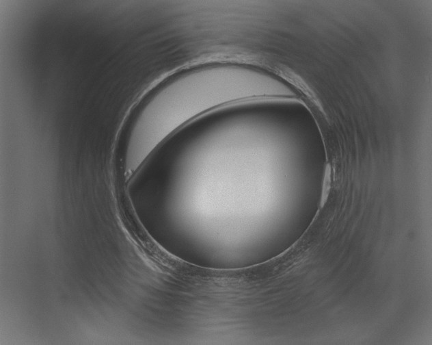 X0000073520436200607310954