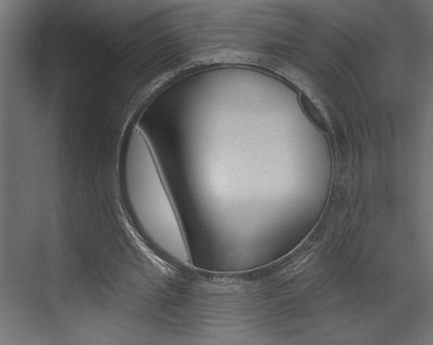 X0000073520437200607310954