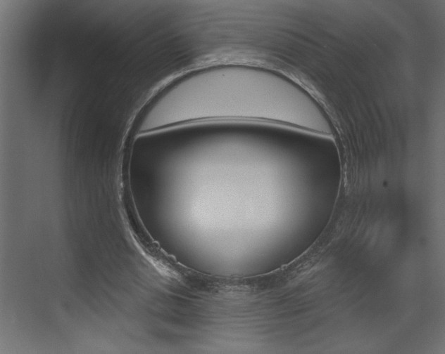 X0000073520438200607310954