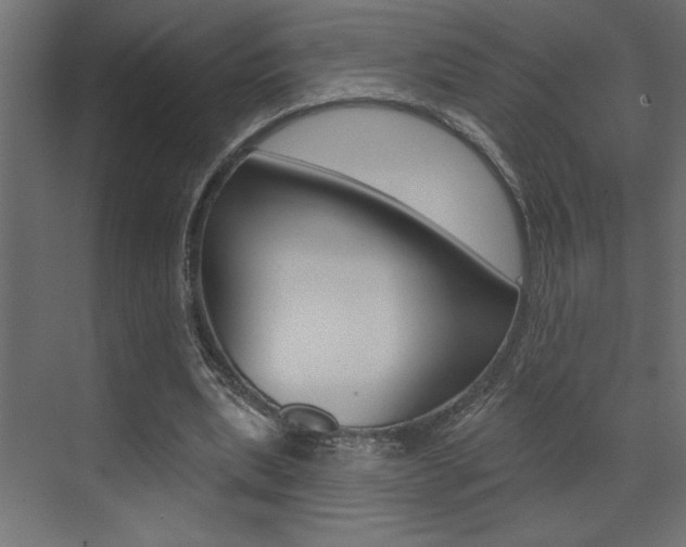 X0000073520439200607310954