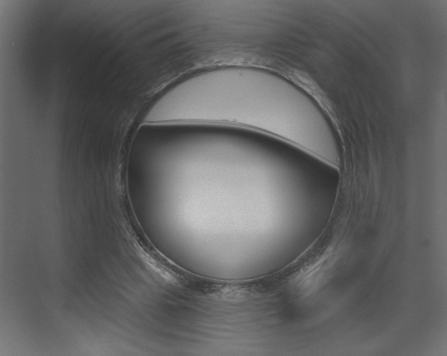 X0000073520441200607310954