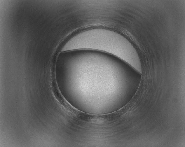 X0000073520444200607310954