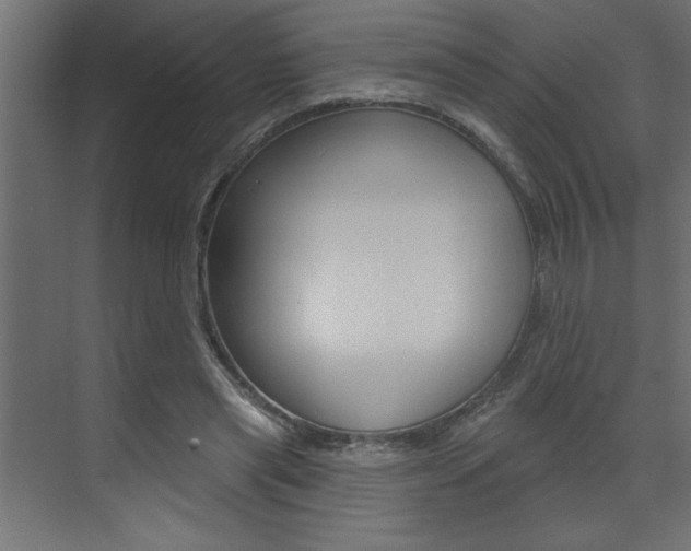 X0000073520445200607310954