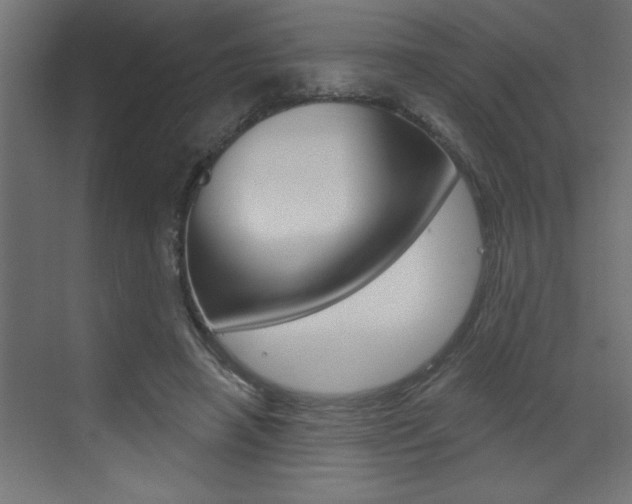 X0000073520450200607310954